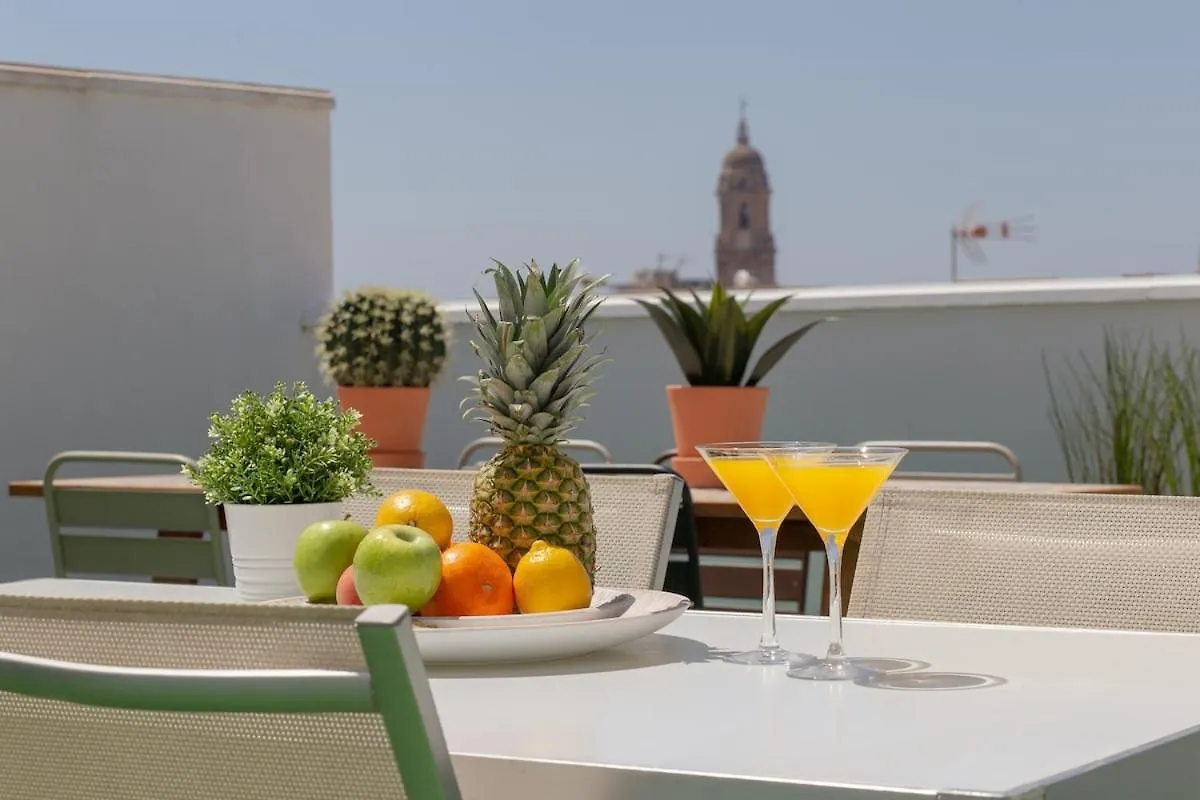 C56 - Studio With Amazing Terrace In The Centre Málaga Apartman