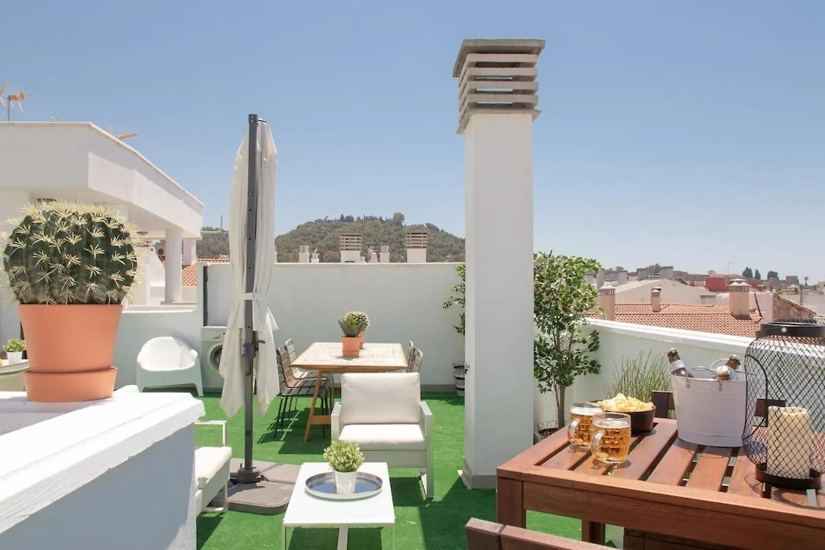 Apartment C56 - Studio With Amazing Terrace In The Centre Malaga